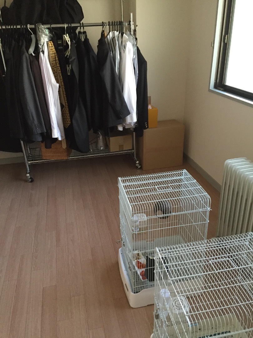 フクロモモンガのケージはどんなタイプがおすすめ？: がじろう日和